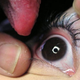 Image for article titled This One Time, I Licked My Friend's Eyeball